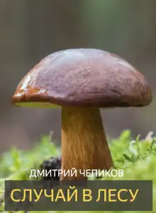 Обложка книги Случай в лесу