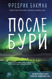 Обложка книги После бури