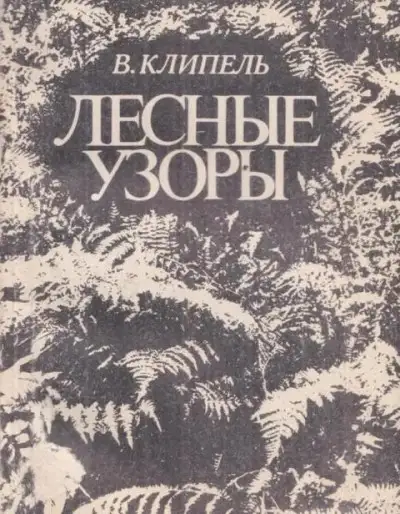 Обложка книги Лесные узоры