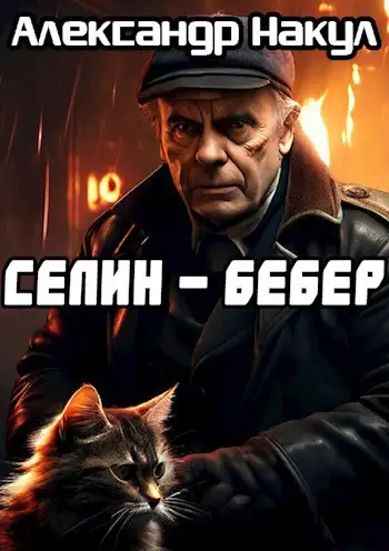 Обложка книги Селин — Бебер