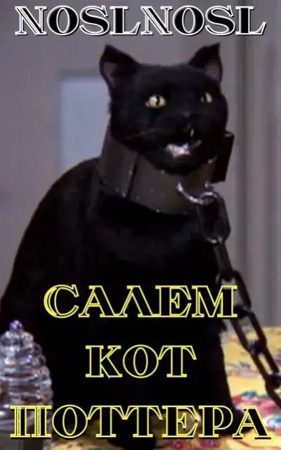 Обложка книги Салем кот Поттера