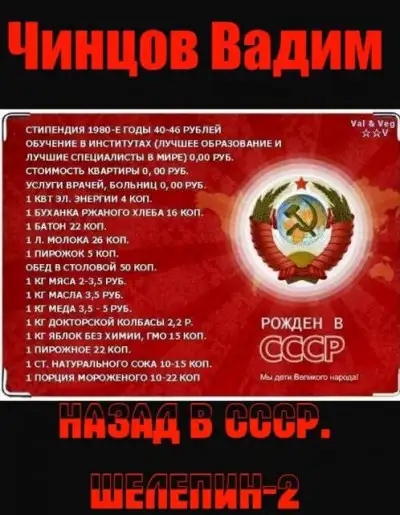 Обложка книги Назад в СССР. Шелепин-2