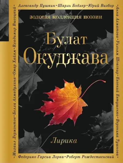 Обложка книги Лирика
