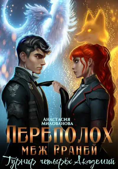 Обложка книги Переполох меж Граней. Турнир четырёх Академий
