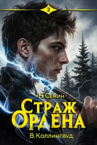 Обложка книги Страж Ордена 2