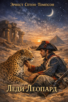 Обложка книги Леди Леопард