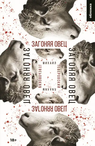 Обложка книги Загоняя овец