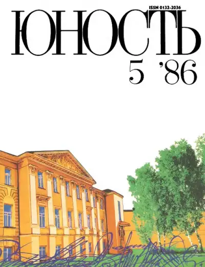 Обложка книги Деревяшка