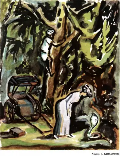 Обложка книги Королева кобр