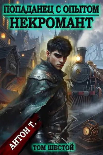 Обложка книги Попаданец с опытом. Некромант. Том 6