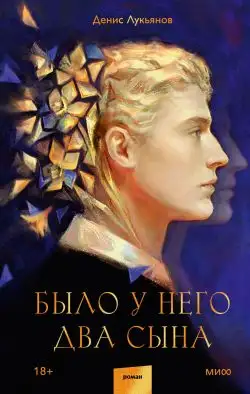 Обложка книги Было у него два сына