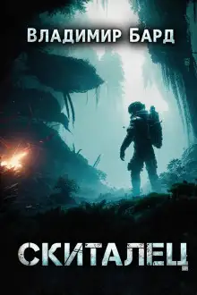 Обложка книги Скиталец