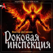 Обложка книги Роковая инспекция