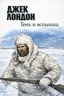 Обложка книги Тень и вспышка