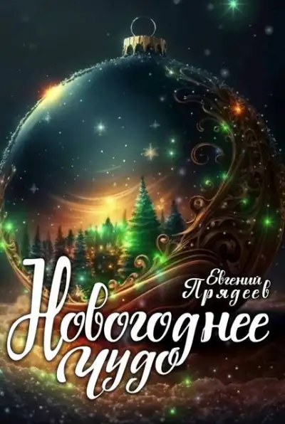 Обложка книги Новогоднее чудо