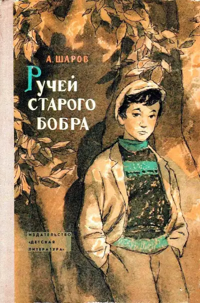 Обложка книги Ручей старого бобра