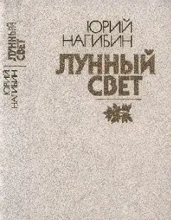 Обложка книги Вася, чуешь??..