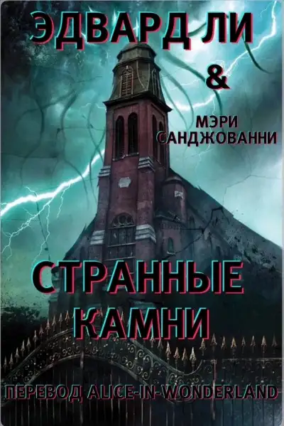 Обложка книги Странные камни