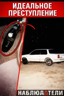 Обложка книги Идеальная подстава почти сработала