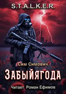 Обложка книги S.T.A.L.K.E.R. Забыйягода