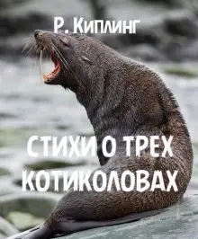 Обложка книги Стихи о трех котиколовах