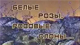 Обложка книги Белые розы, розовые слоны