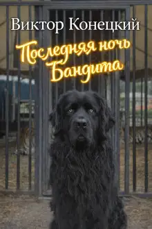 Обложка книги Последняя ночь Бандита