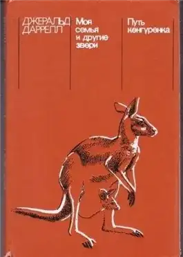 Обложка книги Путь кенгурёнка