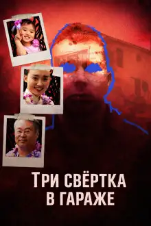 Обложка книги Три свёртка в гараже
