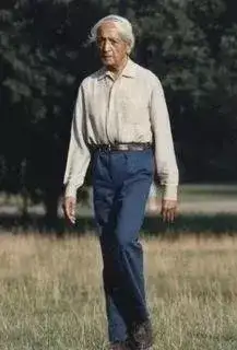 Обложка книги Дневник Кришнамурти