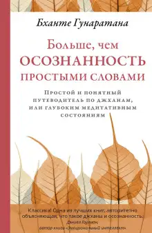 Обложка книги Больше, чем осознанность простыми словами. Простой и понятный путеводитель по джханам, или глубоким медитативным состояниям