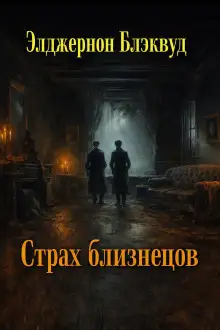 Обложка книги Страх близнецов