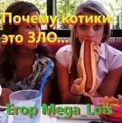 Обложка книги Почему котики-это зло