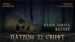 Обложка книги Патрон 22 Свифт