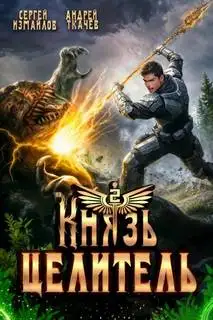 Обложка книги Князь Целитель 02