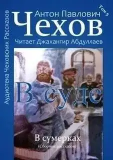 Обложка книги В суде