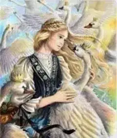 Обложка книги Дикие лебеди