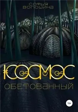 Обложка книги Космос обетованный