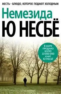 Обложка книги Немезида 04 (Не было печали)