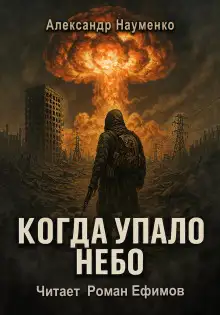 Обложка книги Когда упало небо