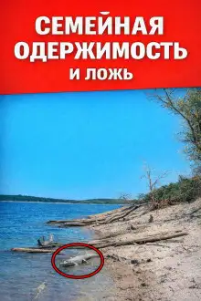 Обложка книги Семейная одержимость и ложь