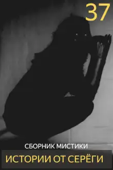 Обложка книги Истории от Серёги №37