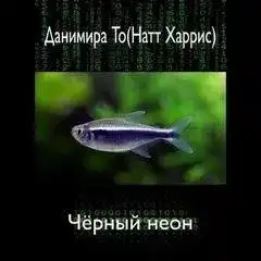 Обложка книги Чёрный неон