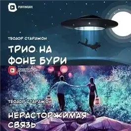 Обложка книги Нерасторжимая связь. Трио на фоне бури