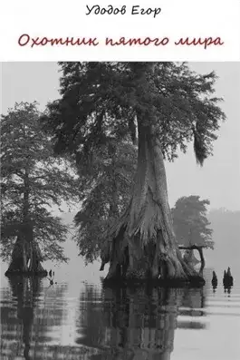 Обложка книги Охотник пятого мира