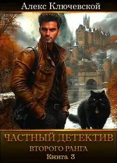 Обложка книги Частный детектив второго ранга 3