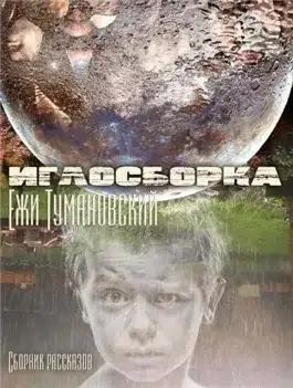 Обложка книги Иглосборка (Сборник рассказов)