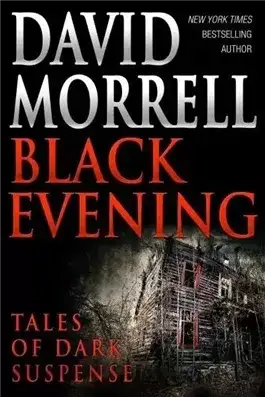 Обложка книги Черный вечер (рассказы из сборника)