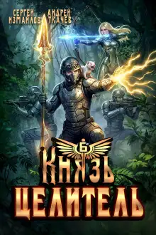 Обложка книги Князь Целитель 6