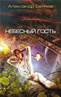 Обложка книги Небесный гость